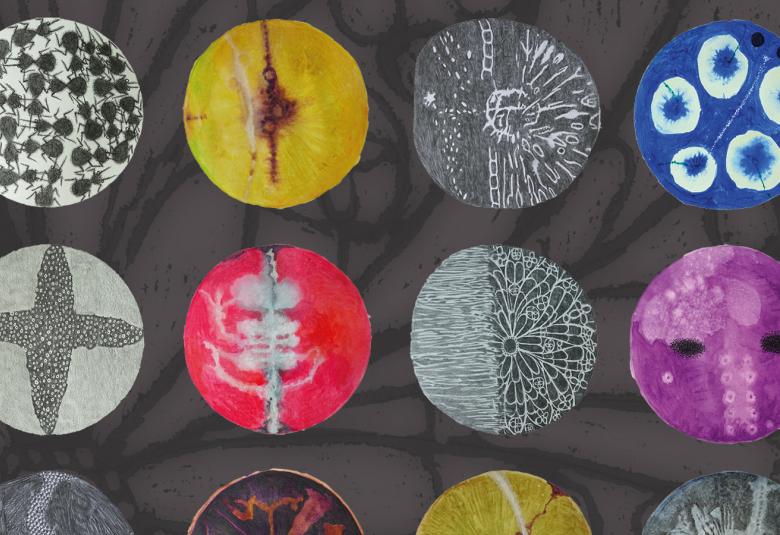 Kuvassa on tummalla pohjalla eri värisiä ympyröitä, joissa on erilaisia kuvioita. Kuva on osa kirjan kannesta.