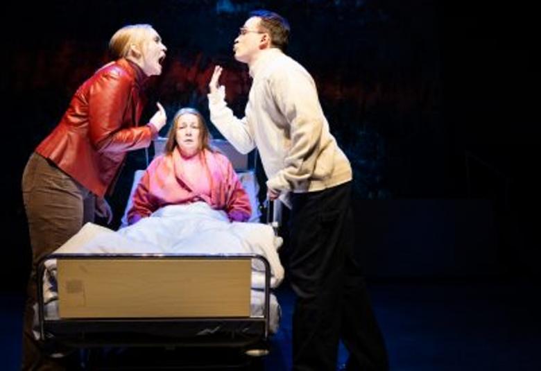 Kuvassa on keskellä nainen sairaalasängyssä istumassa ja hänellä vaalean punainen sairaalan aamutakki päällään sekä valkoinen peitto jalkojensa päällä. Vasemmalla on nainen punaisessa nahkatakissa ja oikealla mies vaaleassa fliississä sivuttain. He huutavat toisilleen. Tausta on tumma.