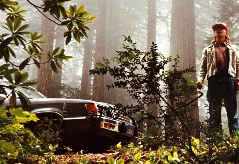 Kuvassa on oikealla J. Karjalainen seisomassa korkeiden puiden metsässä, joka on hieman sumuinen. Vasemmalla näkyy rododendronin oksia ja 1970-luvun auton keulaa.