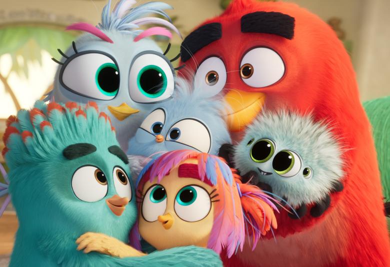 Kuvassa on pullukoita, eri värisiä isosilmäisiä Angry Birds -hahmoja. 