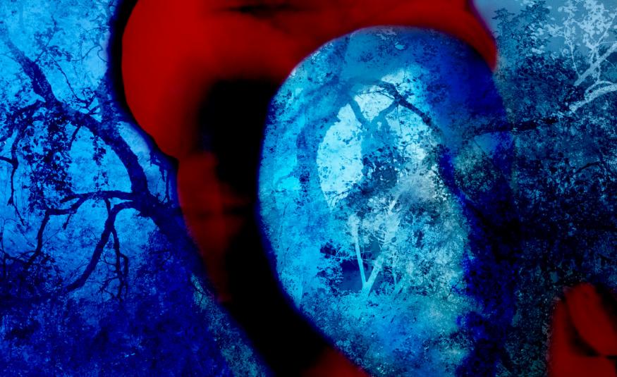 Kuvassa on punainen päähine ja sinistä, jossa on oksia. Päähineen sisältä hahmottuu hieman kasvoja. Kuva on osa kirjan kannesta.