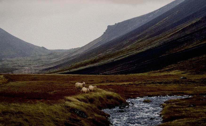 Kuvassa on tuntureita vasemmalta oikella kaartuen.  edessä on tumman vihreää ja edessä leveää puroa virtaamassa. Takana on harmaata taivasta. Kuva on osa kirjan kannesta.