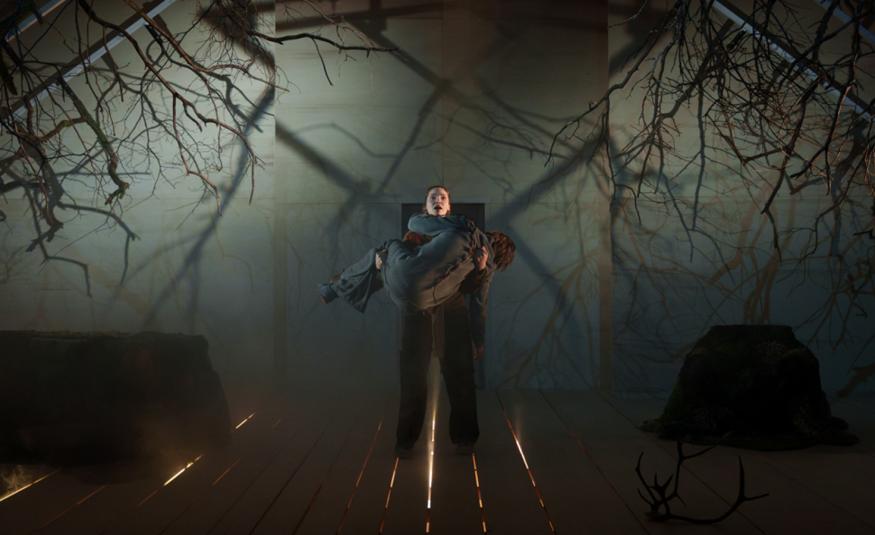 Kuvassa on keskellä Tommi Eronen kantamassa Tuuli Pajua.  Kuvan sävy on tummala ylhäällä on oksia roikkumassa puupalkeista molemmin puolin ja taustalla on sumua. 