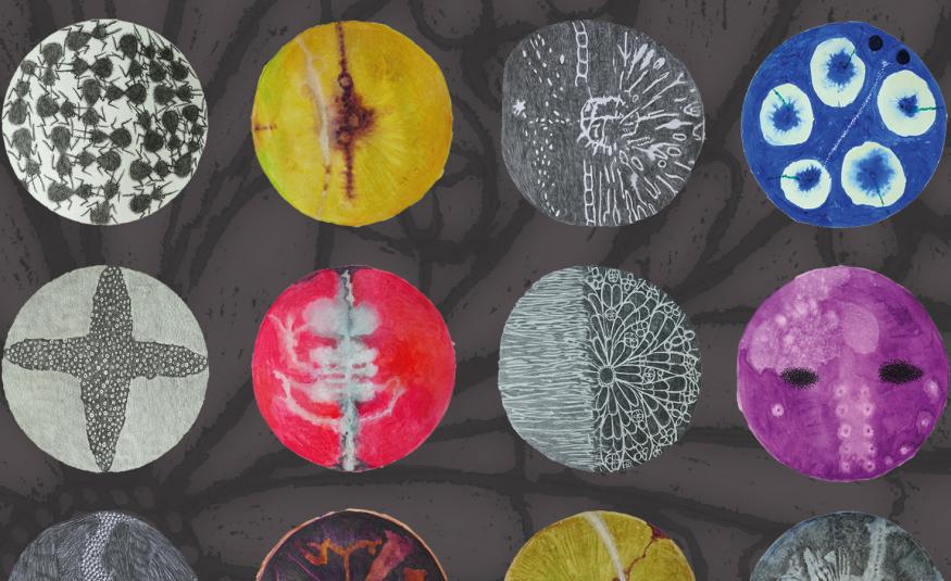 Kuvassa on tummalla pohjalla eri värisiä ympyröitä, joissa on erilaisia kuvioita. Kuva on osa kirjan kannesta.