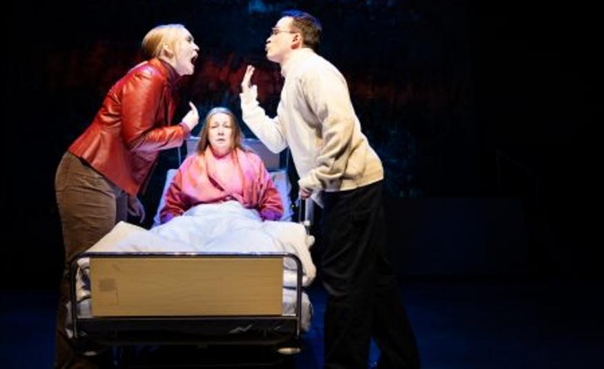 Kuvassa on keskellä nainen sairaalasängyssä istumassa ja hänellä vaalean punainen sairaalan aamutakki päällään sekä valkoinen peitto jalkojensa päällä. Vasemmalla on nainen punaisessa nahkatakissa ja oikealla mies vaaleassa fliississä sivuttain. He huutavat toisilleen. Tausta on tumma.