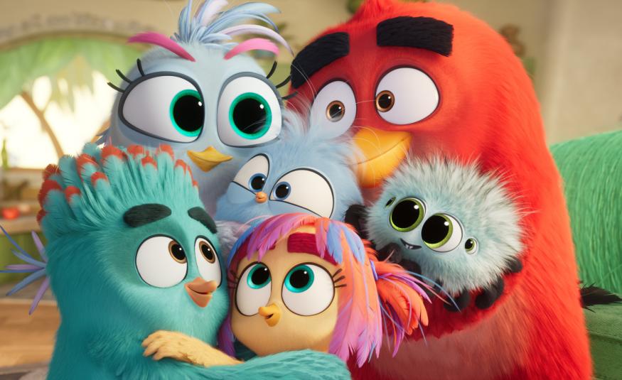 Kuvassa on pullukoita, eri värisiä isosilmäisiä Angry Birds -hahmoja. 