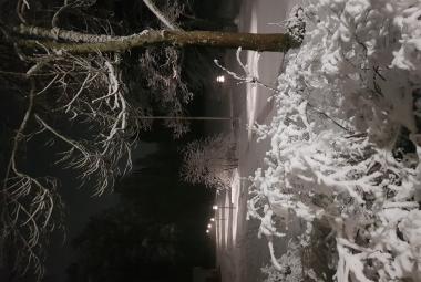 Kuvassa on Diandra seisomassa ja nänellä on vaalean roosa mekko, jossa on kukkakuvioita. Hä pitää oikealla kädellään helmasta kiinni.