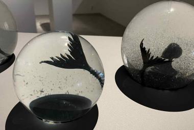 Kuvassa on kaksi lasipalloa valkoisella pöydällä.  Palloissa on musta kala ja näkyy pyrstöjä.