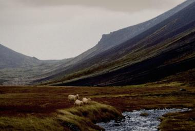 Kuvassa on Islannin tuntureita taustalla ja välissä laaksoa. Etualalla keskellä lamppaita ja niiden edessä joki.