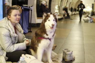 Kuvassa on vaaleaa metrokäytävää ja vasemmalla edessä vaaleatakkinen nuori nainen ja hänellä on iso valko-harmaa koira istumassa. Taustalla näkyy muita ihmisiä kauempana.