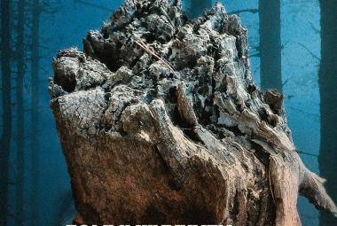 Kuvassa on iso harmaa päältä ropolainen kantomainen puun osa. Takana on sinistä.  Kuva on osa Rauman teatterin julistetta.