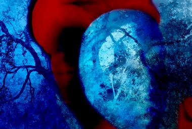 Kuvassa on punainen päähine ja sinistä, jossa on oksia. Päähineen sisältä hahmottuu hieman kasvoja. Kuva on osa kirjan kannesta.