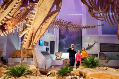 Kuvassa on huone, jossa on ylhäällä dinosauruksen pään luut. Alla on saniaispensaita ja vaaleata hiekkaa sekä kiviä. Taustalla valkoisia seiniä ja ikkunoita. Keskellä on lattialla katsomassa dinosaurusta vasemmalla mustissa vaatteissa mies seisomassa ja vieressä oikealla nainen ja tyttö