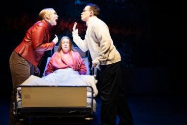 Kuvassa on keskellä nainen sairaalasängyssä istumassa ja hänellä vaalean punainen sairaalan aamutakki päällään sekä valkoinen peitto jalkojensa päällä. Vasemmalla on nainen punaisessa nahkatakissa ja oikealla mies vaaleassa fliississä sivuttain. He huutavat toisilleen. Tausta on tumma.