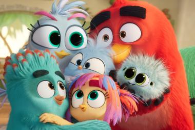 Kuvassa on pullukoita, eri värisiä isosilmäisiä Angry Birds -hahmoja. 